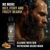 Viking Revolution Beard Wash and Beard Conditioner for Men with Argan Oil and Jojoba Oil – Beard Softener and Strengthener Beard Care Beard Shampoo and Conditioner with Beard Oil (5oz, Spiced Vanilla)(10 Fl Oz (Pack of 2))