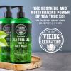 Viking Revolution Tea Tree Body Wash Soap for Men – Helps Athlete’s Foot, Jock Itch, Eczema & Body Odors – Extra Strength Tea Tree Oil Men’s Body and Foot Wash(12 Fl Oz (Pack of 2))