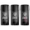 VIKING REVOLUTION – 3 Pack Natural Mens Deodorant, Aluminum Free Deodorant for Men – Long-Lasting Odor Protection and Freshness with All Natural Scents: Citrus, Peppermint & Eucaliptus, Sandalwood